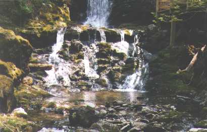 the falls,fundy national park